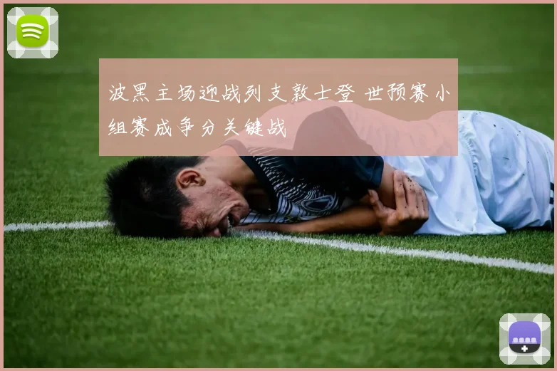 波黑主场迎战列支敦士登 世预赛小组赛成争分关键战